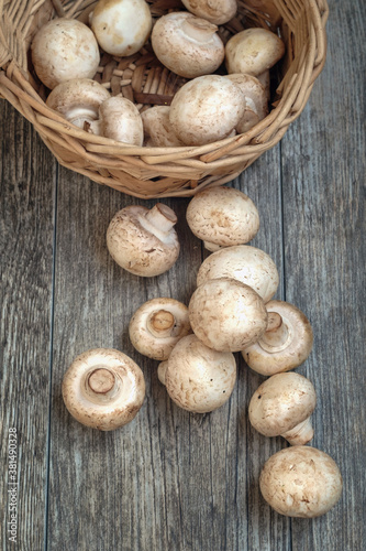 White mushrooms and basket on the wooden rustic table, top view