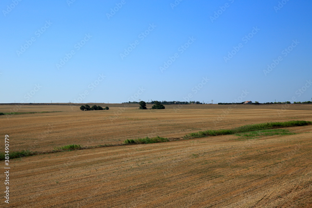 Obraz premium Ready field for sowing. A view of the vast fertile fields in clear weather.