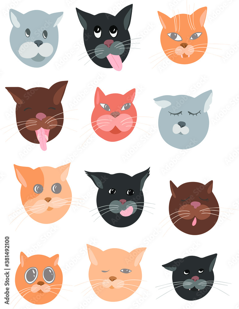 set of cats set of cats