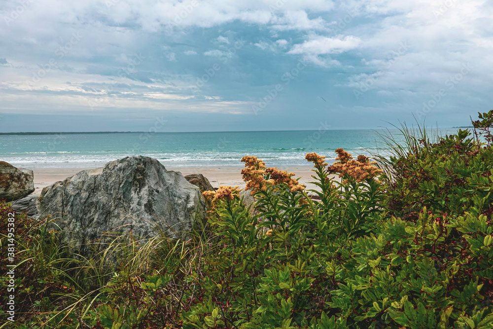 sea and rocks