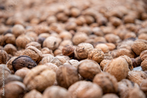Organic fresh walnuts with shells laid on the floor to dry