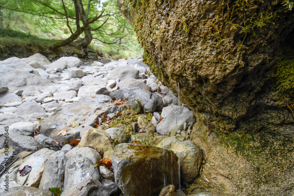 Source of the river Nervión in Delika Source of the river Nervión in Delika