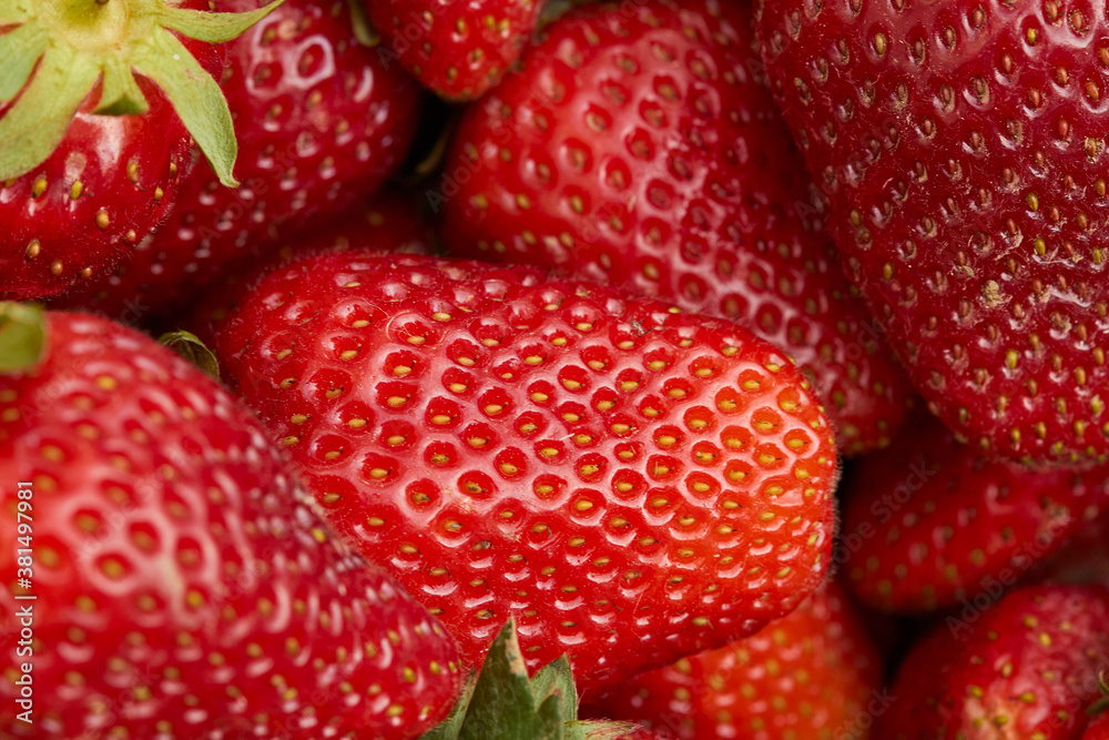 strawberry ripe pure red berry close up strawberry ripe pure red berry close up