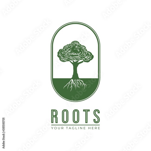 Roots logo design. Green tree with root and emblem line. Flat vector logo design. Usable for garden, education and farm logo.