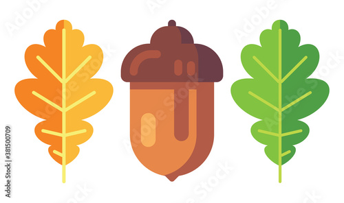 Acorn with leaves. Oak symbol of autumn. Isolated acorn on white background. Vector illustration.