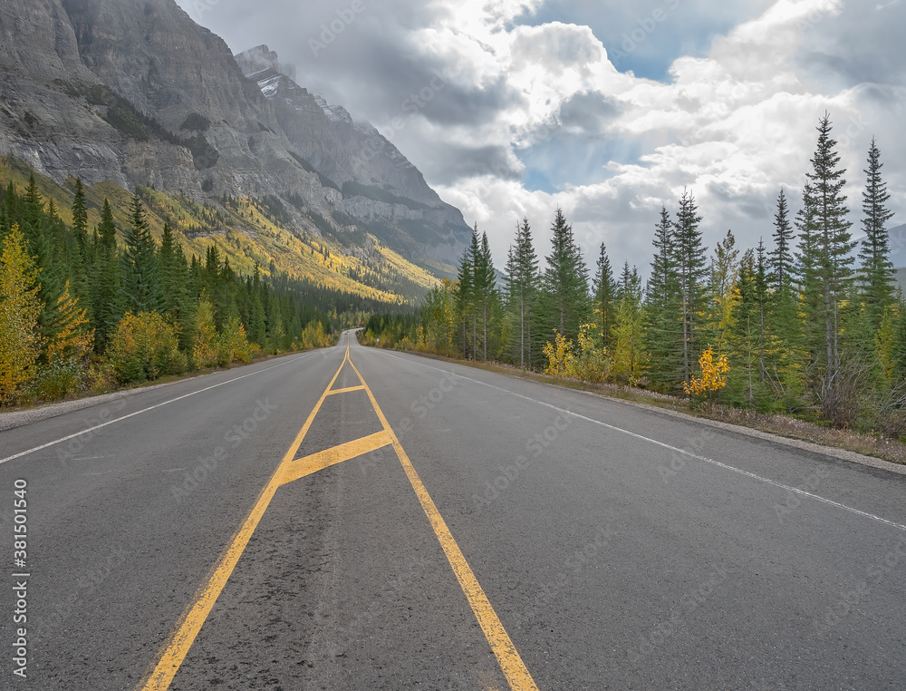 Fototapeta premium Autumn view of the Icefields Parkway in Banff and Jasper National Parks, Alberta, Canada