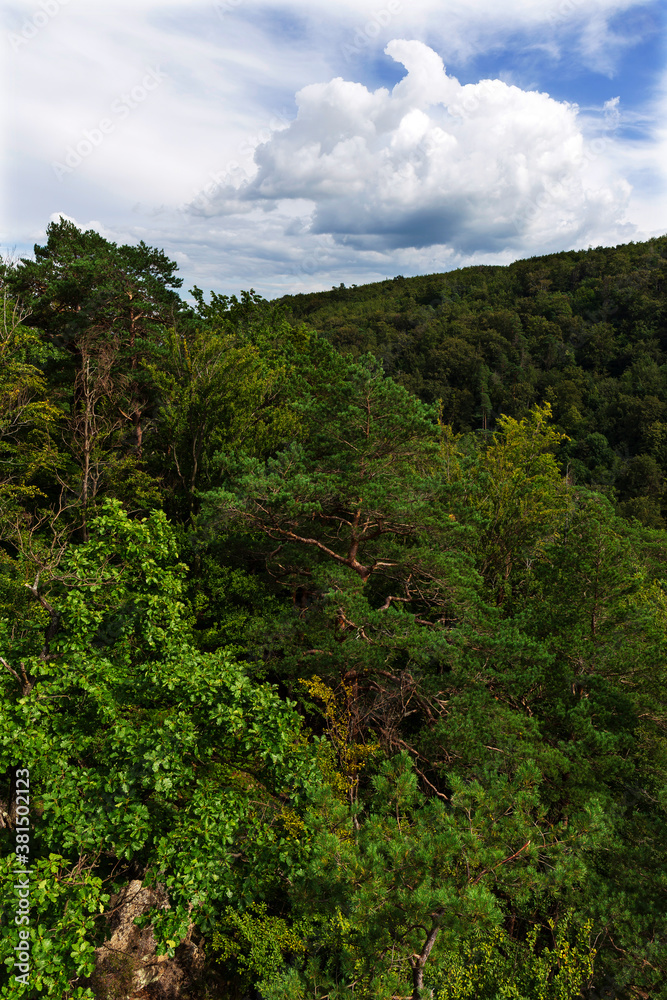 Beautiful clean Landscape in the Rychlebske Mountains, Northern Moravia, Czech Republic