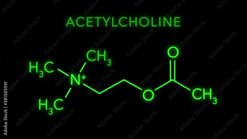 Acetylcholine or ACh Molecular Structure Symbol Neon Animation on black background. Acetylcholine or ACh Molecular Structure Symbol Neon Animation on black background.