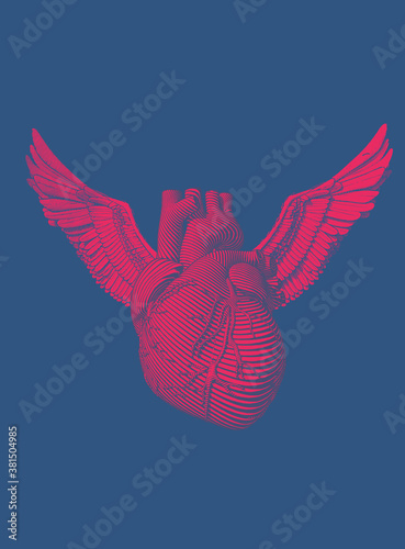 Engraved human heart with wing illustration on blue BG