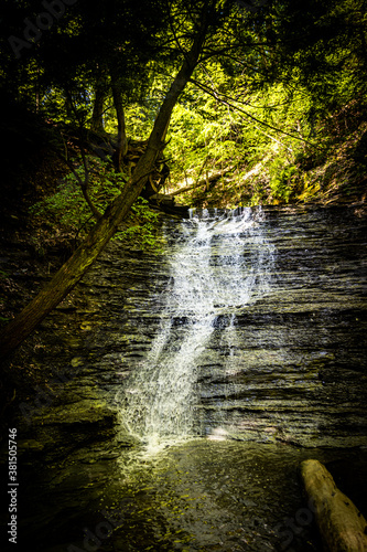 waterfall in forest