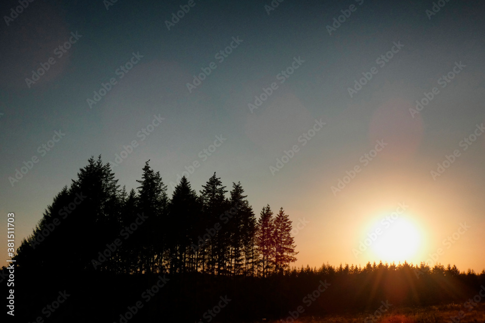 Fototapeta premium coucher soleil