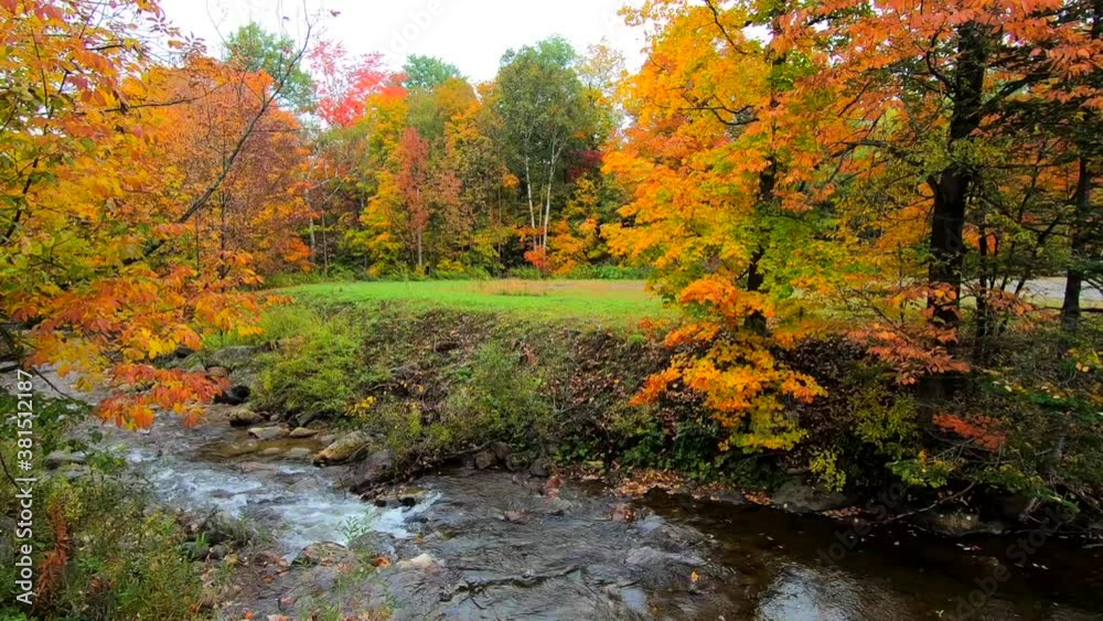 Pan Across Stream Burbling Through Vibrant Trees During Fall Colors in Vermont. Pan Across Stream Burbling Through Vibrant Trees During Fall Colors in Vermont.