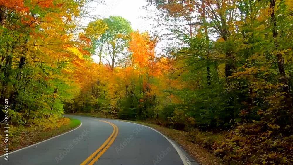 TimeLapse - Driving Under Trees in Full Color During Fall in Vermont. TimeLapse - Driving Under Trees in Full Color During Fall in Vermont.