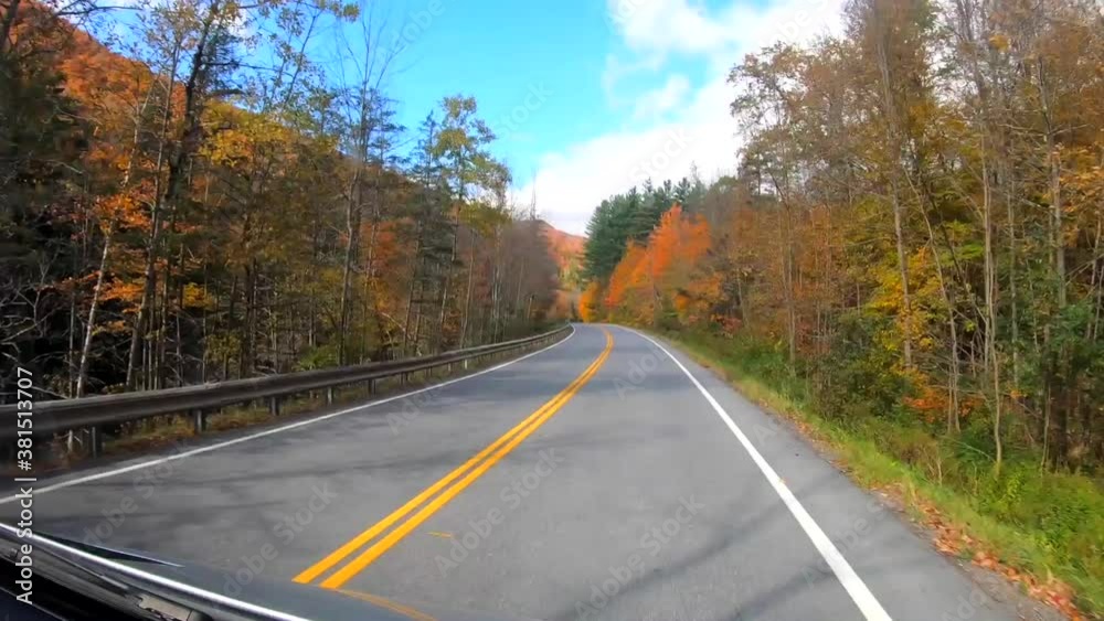 TimeLapse 10X - Driving Under Trees in Bright Sunlight When Some Trees Are Bare During Fall in Vermont. TimeLapse 10X - Driving Under Trees in Bright Sunlight When Some Trees Are Bare During Fall in Vermont.