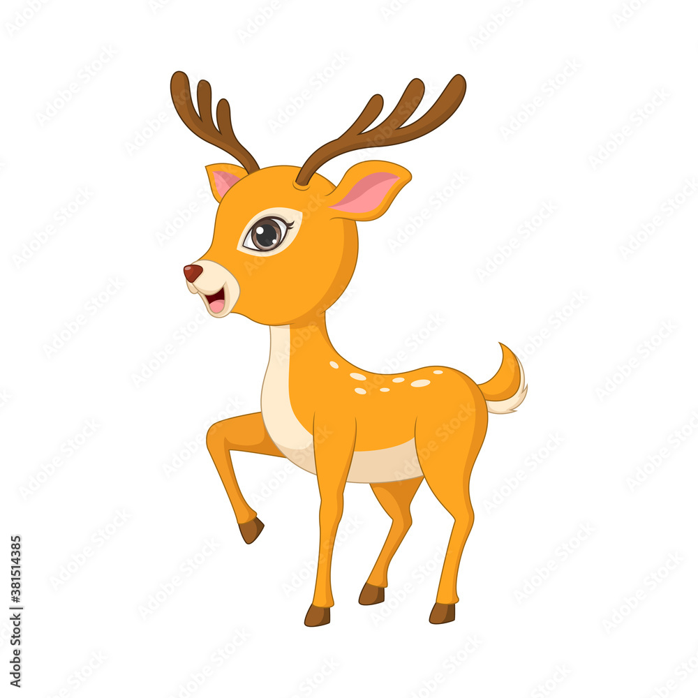 Cute little deer on white background