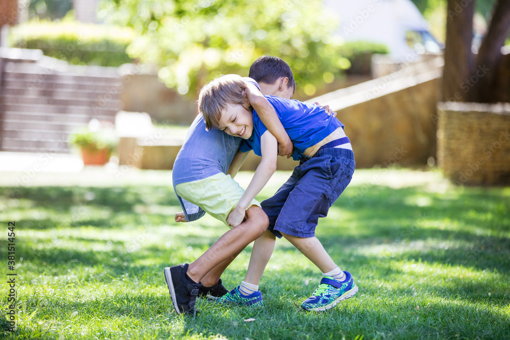 Two boys fighting outdoors. Siblings or friends wrestling in park. Photos |  Adobe Stock