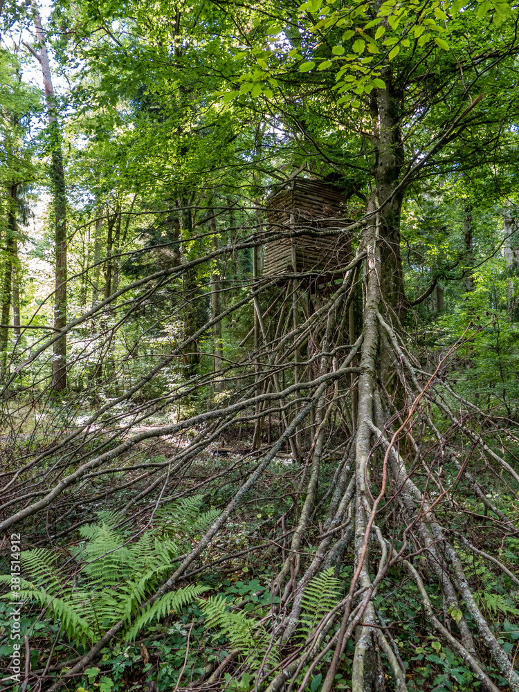 Obraz premium Hochsitz am Waldrand