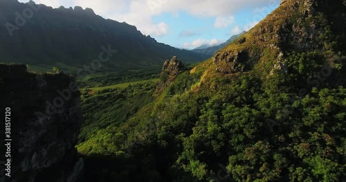 Mountain tropical forest in Hawaii, wide aerial