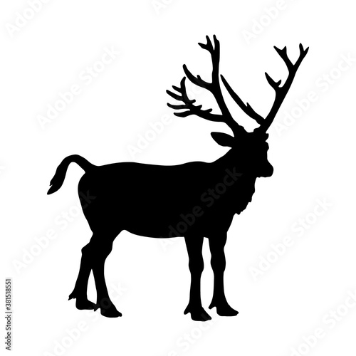 Pere Davids Deer (Elaphurus davidianus) Standing On a Side View Silhouette Found In Map Of Asia. Good To Use For Element Print Book, Animal Book and Animal Content