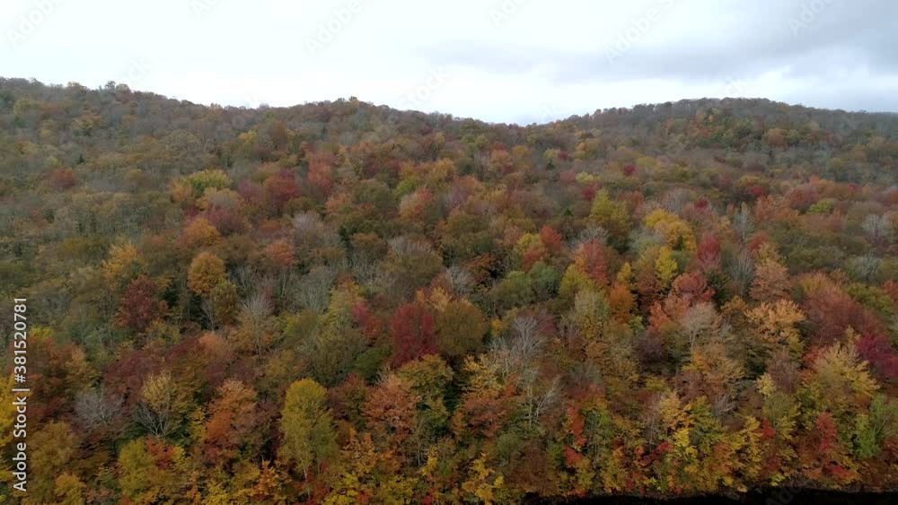 Aerial Drone - Scan Hillside Filled With Fall Color Trees in Vermont