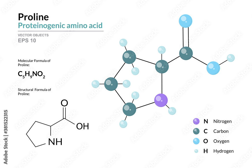 Amino Acids Structural Formula