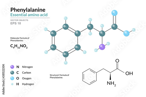 Phenylalanine. Phe C9H11NO2. α-Amino Acid. Structural Chemical Formula and Molecule 3d Model. Atoms with Color Coding. Vector Illustration