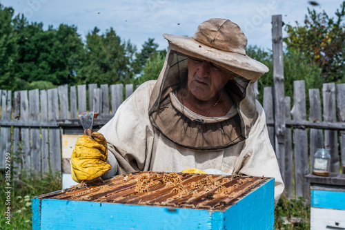 Beekeeper is working with bees and beehives on the apiary.