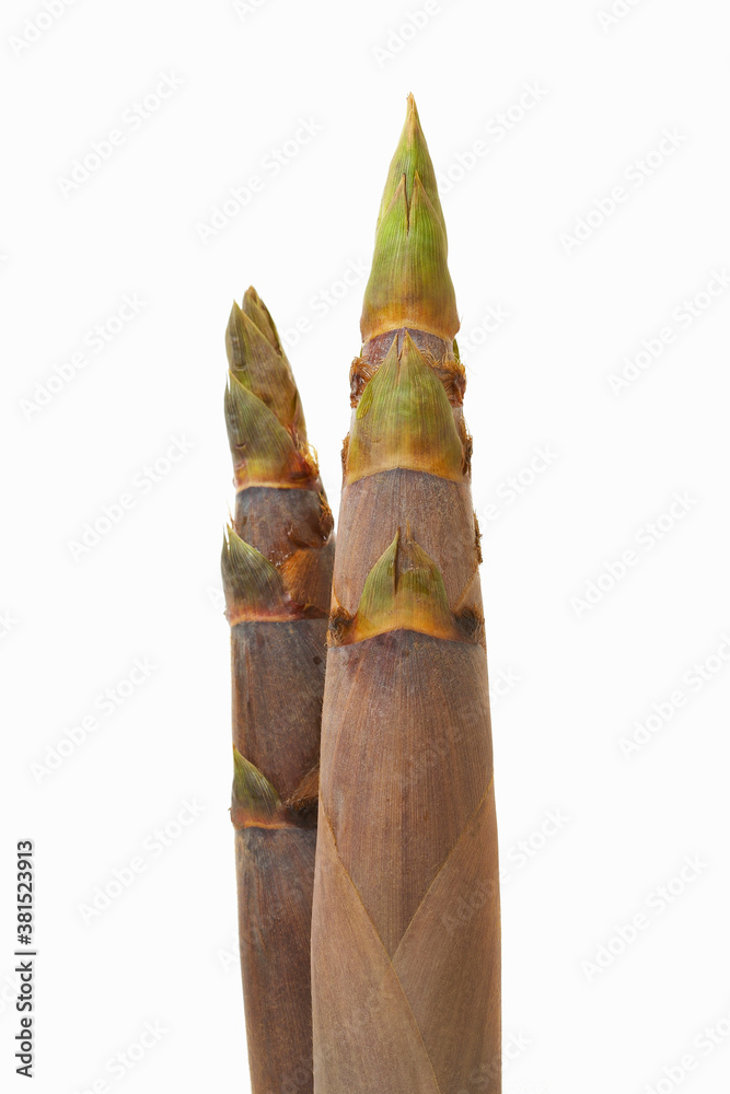 八竹