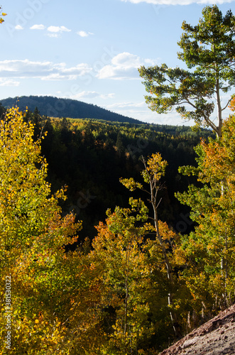 Fototapeta Naklejka Na Ścianę i Meble -  A distant mountain covered in autumn forest.