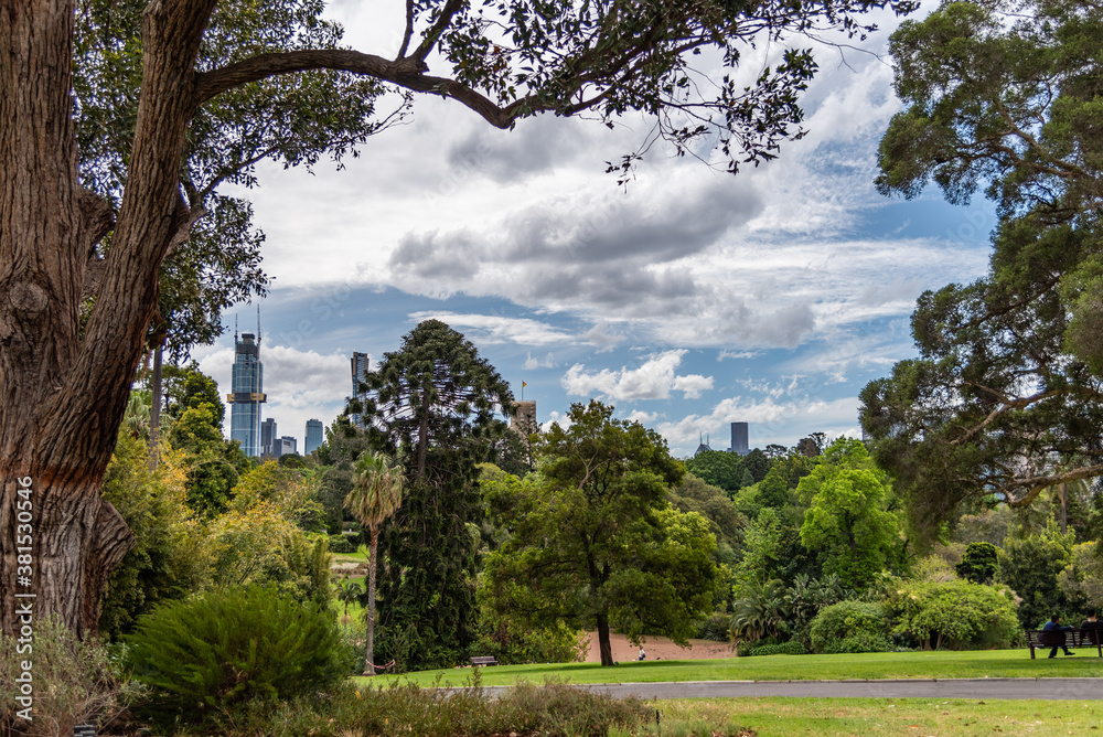 Beautiful park lands and lakes at the Melbourne Botanical Gardens.