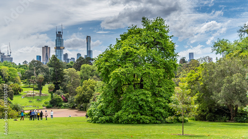 Fototapeta Naklejka Na Ścianę i Meble -  Beautiful park lands and lakes at the Melbourne Botanical Gardens.