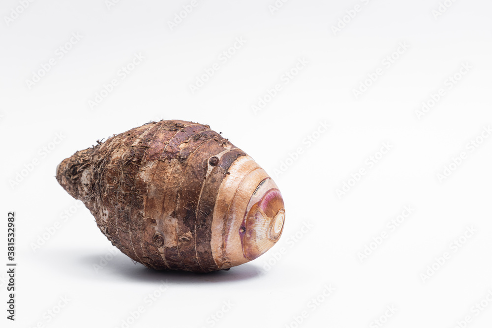 Taro fruit that has not been peeled separately isolated on white background Taro fruit that has not been peeled separately isolated on white background