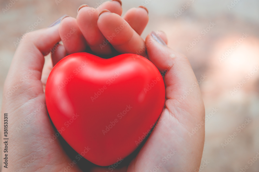 Woman hold red heart  nature background