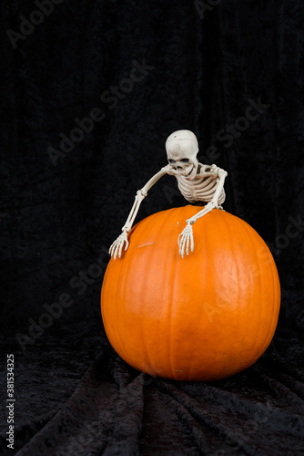 Orange pumpkin on black velvet background, plastic skeleton, celebrating Halloween
