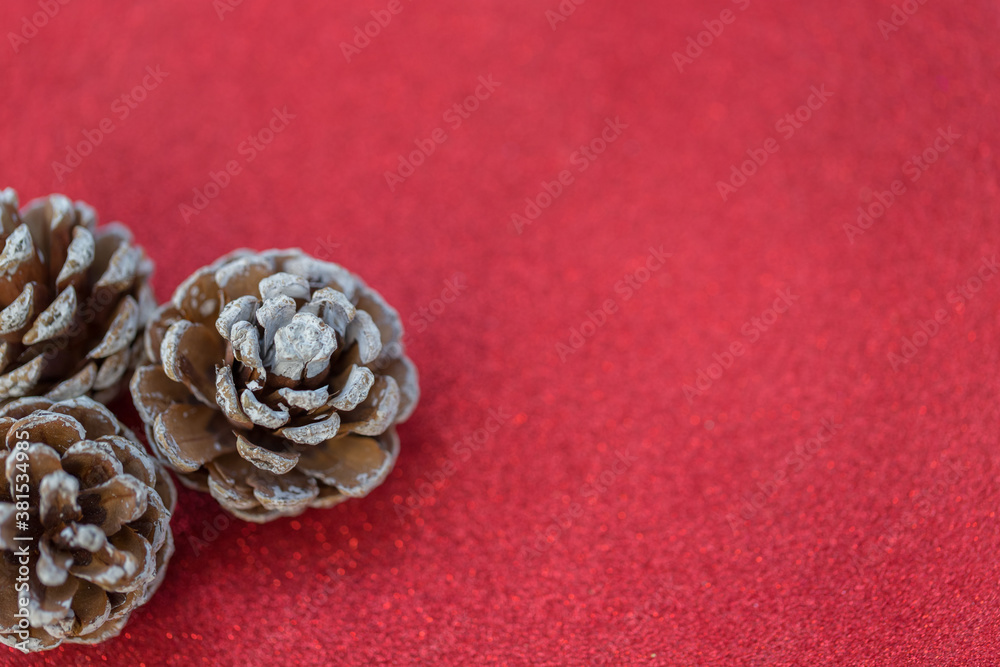 Dried pine balls on red gliter Dried pine balls on red gliter