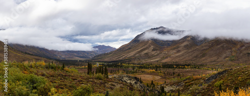 Beautiful Panoramic View of Colourful Fall Forest and Mountains in Tombstone on a Cloudy Morning. Tombstone Territorial Park, Yukon, Canada. Nature Background Panorama