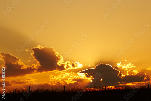 Εκτύπωση καμβά Amazing sunset with dark backlit clouds  over a field with long grass and fence