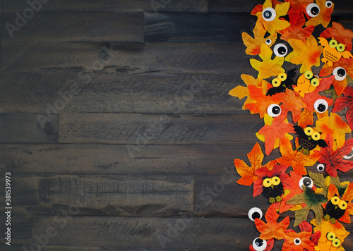 Maple leaves of different colors, cute owls and eyes lie on wooden brown background with copy space. Halloween decoration concept. photo