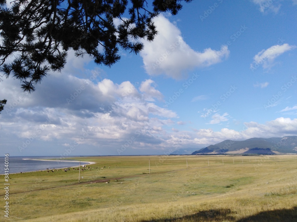 Fototapeta premium landscape with sky