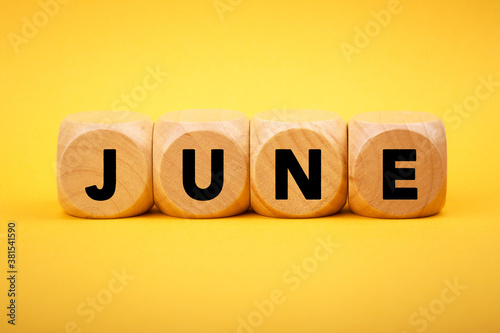 June Concept Wooden Cube Blocks