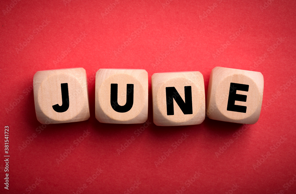 June Concept Wooden Cube Blocks June Concept Wooden Cube Blocks