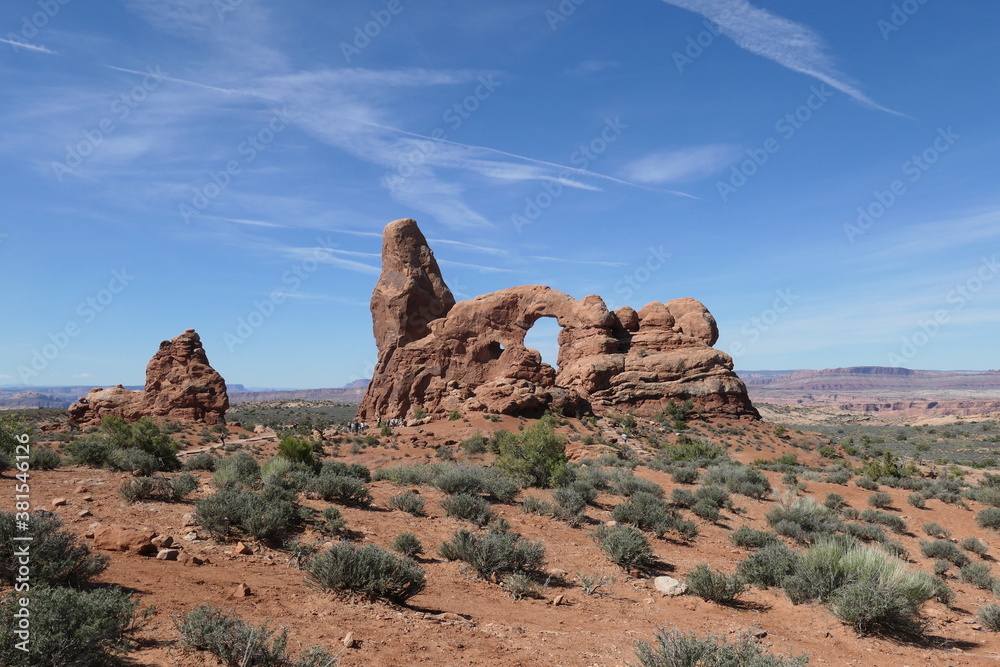 Fototapeta premium park state