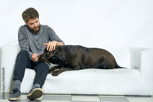 man with a black dog on a white sofa on a light background close-up cropped view pet human friend emotions fun © SHOTPRIME STUDIO