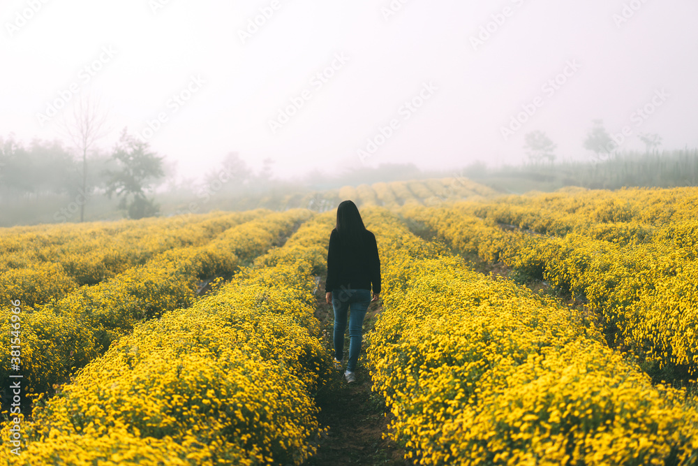 Adult asia traveller woman walking relax in yellowe park field on morning. Adult asia traveller woman walking relax in yellowe park field on morning.