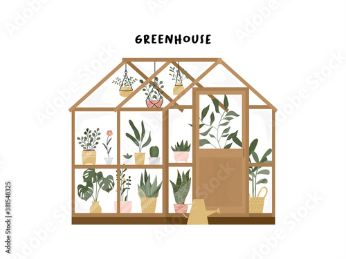 house with a tree. Garden with greenhouse or home gardening hand drawn flat vector illustration