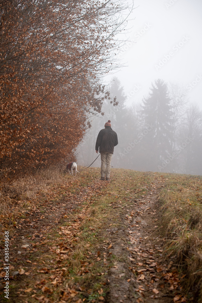 Fototapeta premium Spaziergang mit dem Hund im Herbstwald- Mann mit Hund im Nebel
