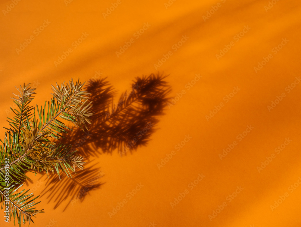 Orange christmas shadow. Christmas tree branch.