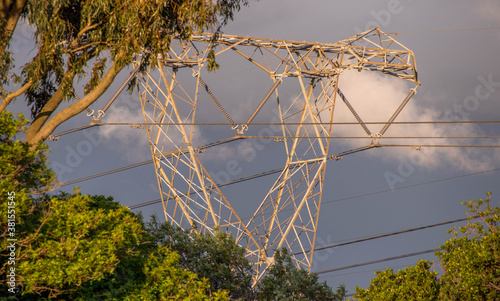 Pylon with power cables isolated between the trees against a overcast sky