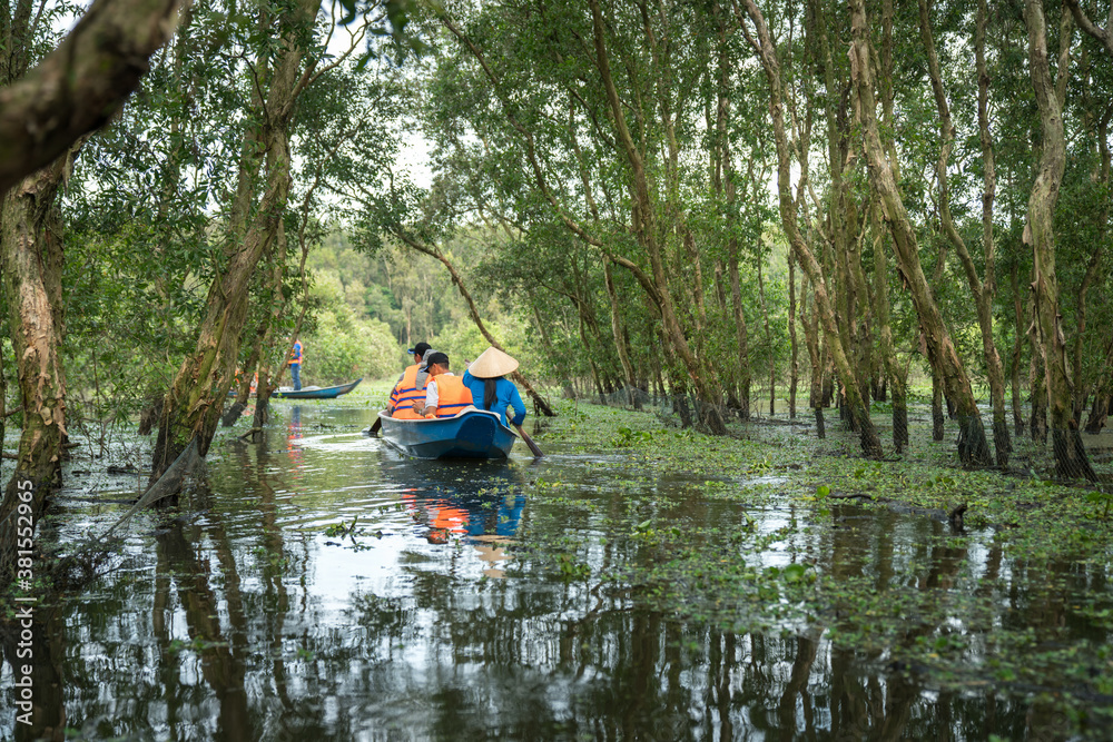 Tourism rowing boat in cajuput forest in floating water season in Mekong delta, Vietnam Tourism rowing boat in cajuput forest in floating water season in Mekong delta, Vietnam