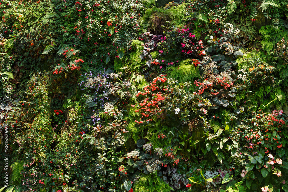 Pattern of tropical, palm leaves and flowers . Rainforest or jungle background.